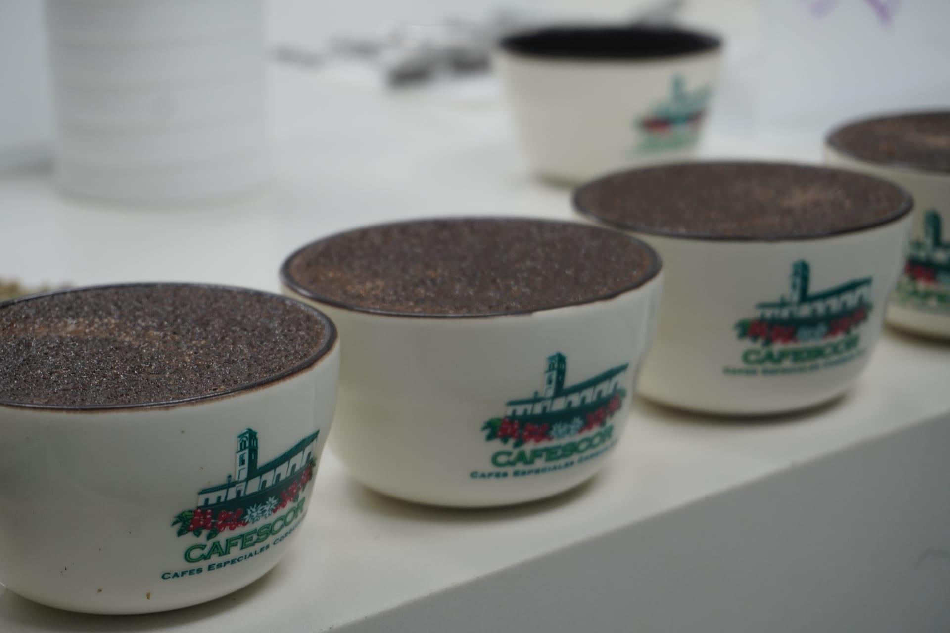 Proceso de café CAFESCOR
