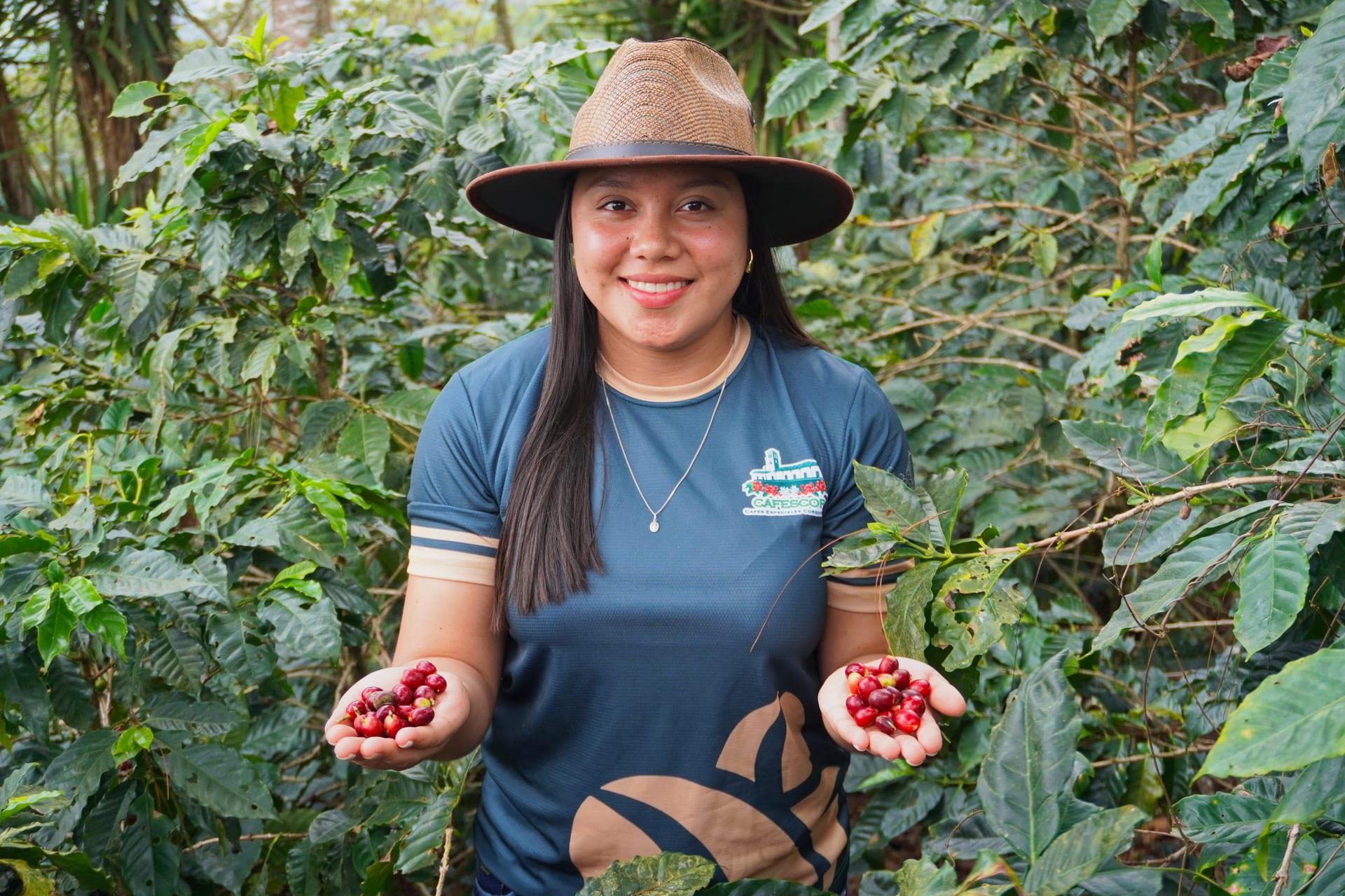 Caficultura sostenible en Honduras